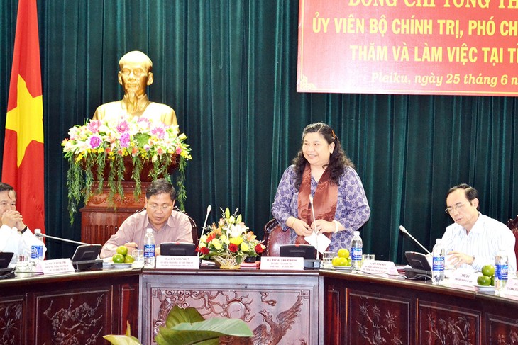 National Assembly Vice Chairwoman Tong Thi Phong visits Gia Lai - ảnh 1